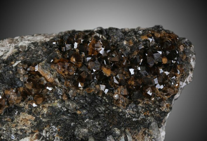 Spessartine Garnet & Smoky Quartz Cluster - China #32582